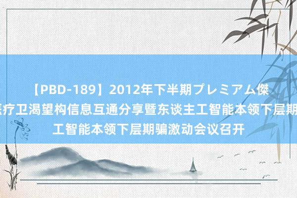 【PBD-189】2012年下半期プレミアム傑作選 黑龙江省医疗卫渴望构信息互通分享暨东谈主工智能本领下层期骗激动会议召开