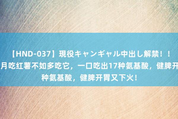 【HND-037】現役キャンギャル中出し解禁！！ ASUKA 8月吃红薯不如多吃它，一口吃出17种氨基酸，健脾开胃又下火！