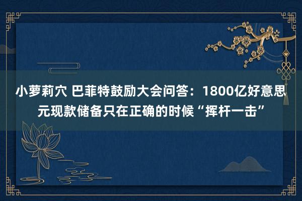 小萝莉穴 巴菲特鼓励大会问答：1800亿好意思元现款储备只在正确的时候“挥杆一击”