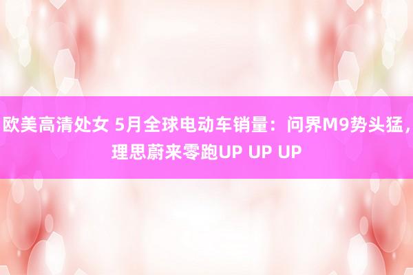 欧美高清处女 5月全球电动车销量：问界M9势头猛，理思蔚来零跑UP UP UP