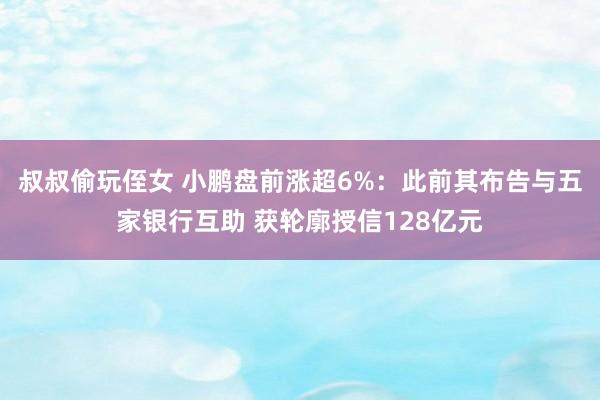 叔叔偷玩侄女 小鹏盘前涨超6%：此前其布告与五家银行互助 获轮廓授信128亿元