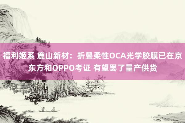 福利姬系 鹿山新材：折叠柔性OCA光学胶膜已在京东方和OPPO考证 有望罢了量产供货