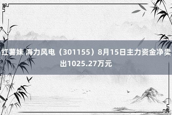 红薯妹 海力风电（301155）8月15日主力资金净卖出1025.27万元