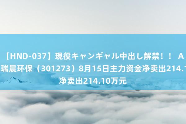 【HND-037】現役キャンギャル中出し解禁！！ ASUKA 瑞晨环保（301273）8月15日主力资金净卖出214.10万元