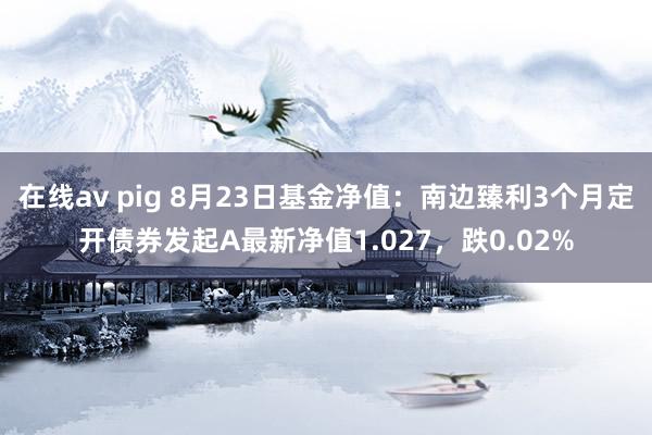 在线av pig 8月23日基金净值：南边臻利3个月定开债券发起A最新净值1.027，跌0.02%