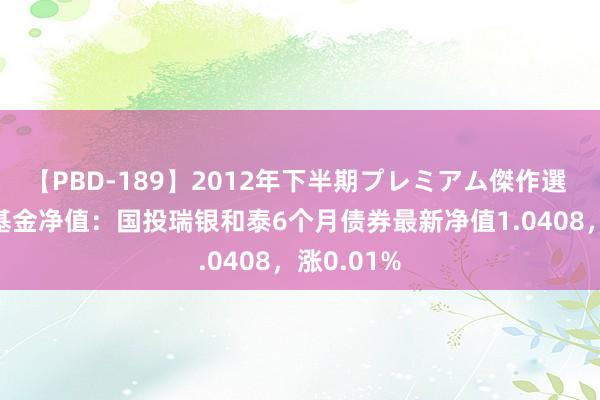 【PBD-189】2012年下半期プレミアム傑作選 8月23日基金净值：国投瑞银和泰6个月债券最新净值1.0408，涨0.01%