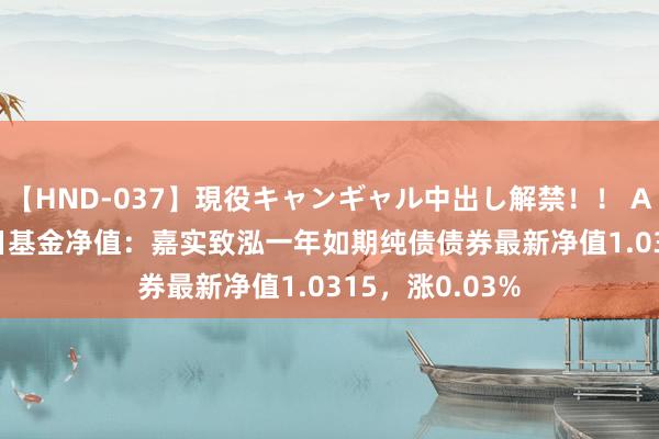 【HND-037】現役キャンギャル中出し解禁！！ ASUKA 8月23日基金净值：嘉实致泓一年如期纯债债券最新净值1.0315，涨0.03%