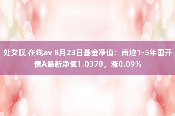 处女膜 在线av 8月23日基金净值：南边1-5年国开债A最新净值1.0378，涨0.09%