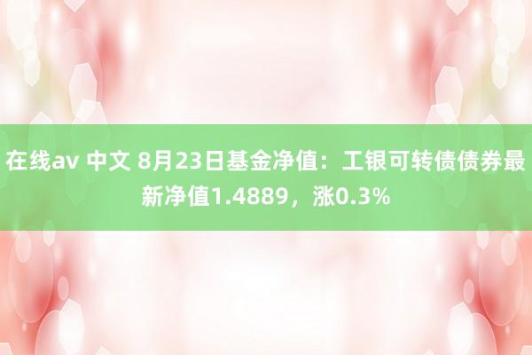 在线av 中文 8月23日基金净值：工银可转债债券最新净值1.4889，涨0.3%