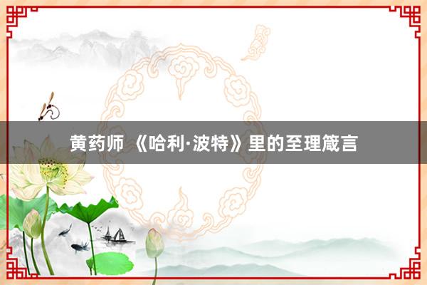 黄药师 《哈利·波特》里的至理箴言